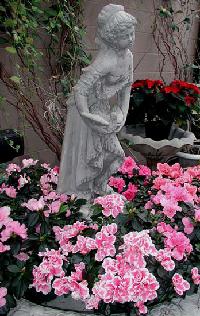 Dove Lady Fountain with Azaleas